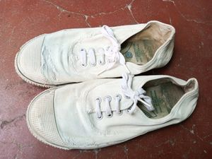 Cotton White Shoes