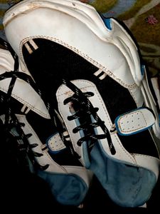 Stylish Sneakers