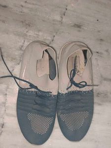 Stylish Blue &amp; grey Casual Shoes