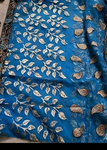 Elegant net parteear saree(without blouse)