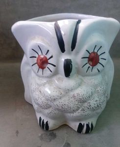 Owl Pot