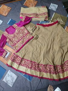 Embroidered Lehenga Choli Set