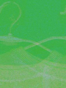 Lime Green Women Pullover