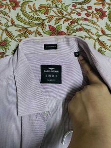 Striped Purple Shirt