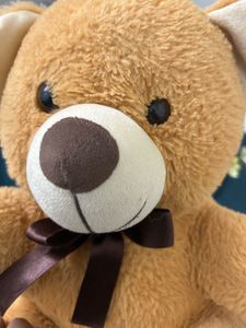 Cute Brown Teddy Bear