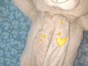 Giant Teddy Bear