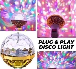 2 Pis Bulb