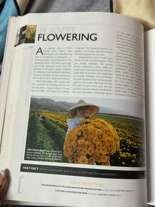 National Geographic Answer Book
