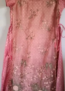 Avaasa Pink Gown Set. No Flaws
