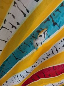 Striped Saree with Blouse Piece