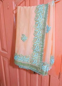 Elegant Embellished Saree