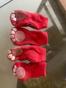 Pet Accessories Only Self Pickup Cannot Ship