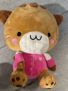 Cute Little Cat
