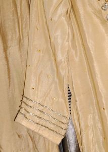 Elegant Pakistani Salwar Suit(Offer Price)