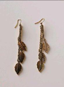 Combo Of 5 Earrings