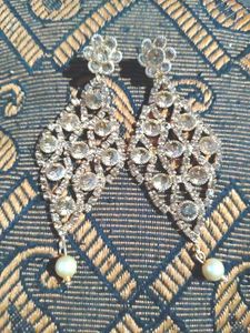 Dazzling Drop Earrings