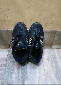 Sports Shoes