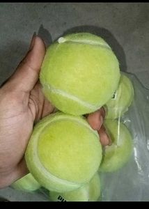Green Tennis Ball Pack Of 8