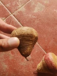 Playing Laddu Qty. 2 Nos