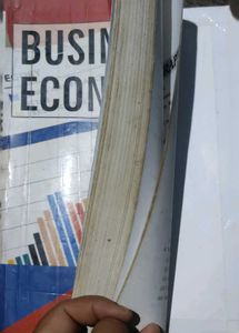 Business Economics Book