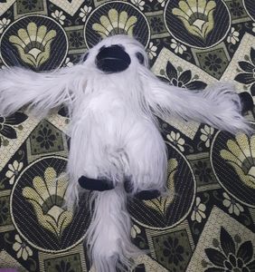 Monkey 🐒 Teddy