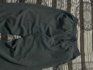 Gray Casual Pants