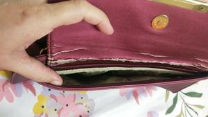 Lavie Hand Bag New Never Used