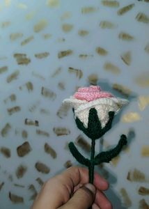 Crochet Rose Multi Colour