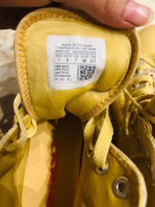 Brand New Mustard Converse