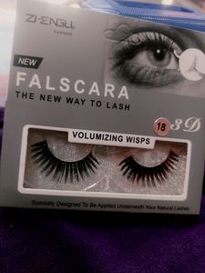 Eye Lashes