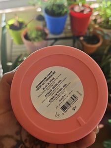 Champagne Toast Body Butter