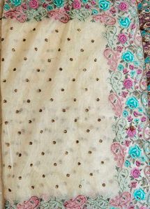 Elegant cream net saree