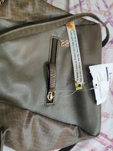 Baggit Brown Bag