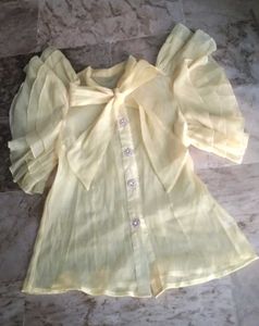 party wear Organza lemon Top