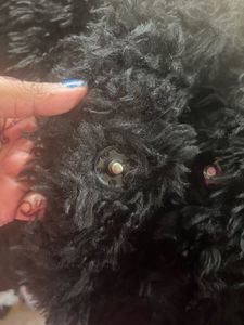 Black Faux Fur Jacket