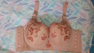 Combo Offer: Bra, Camisole And Primer