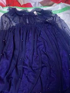 Blue Pearl Party Wear Top