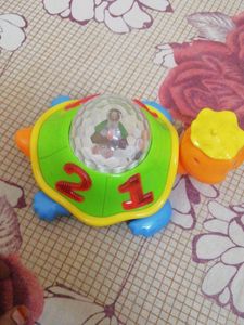 Musical Tortoise