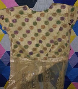 Embroidered Lehenga Choli