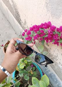 Sneaky Cat Eye Sunglasses