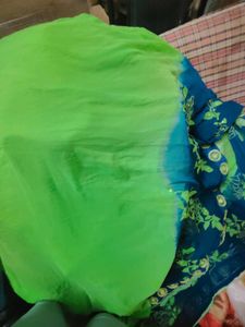 Saari With Blouse