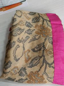Saree Without Blouse