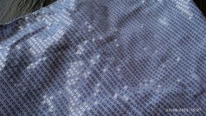 Sequin Party Blouse