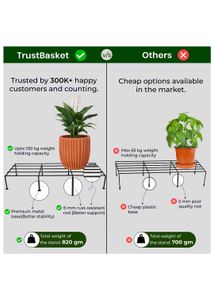 2 Plant Stand