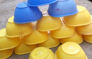 Soup Bowls (17)Yellow 💛 Blue 💙 Colour