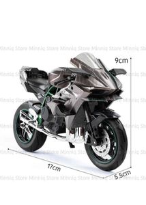 Kawasaki H2 R Motorcycle Model