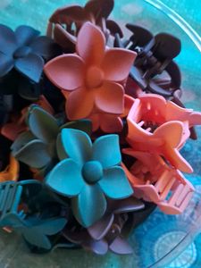 Hair Clip Claw Pick 5