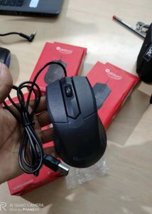 Mouse