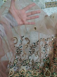 Net Sari Kundan Embroidery