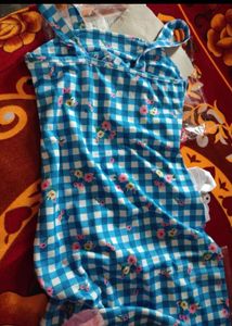 Blue Gingham Floral Slip Dress